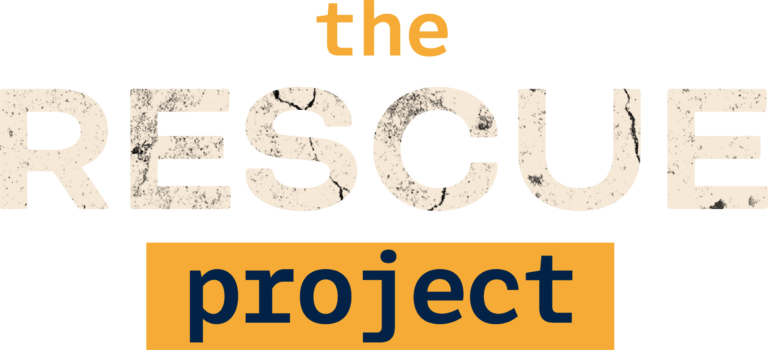 Challenge - the RESCUE project